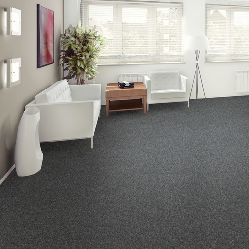 Catifa Alfombra CONQUEROR